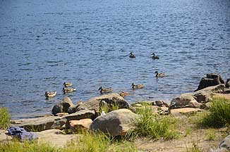 Willow Spring Lake, Arizona, September 26, 2011